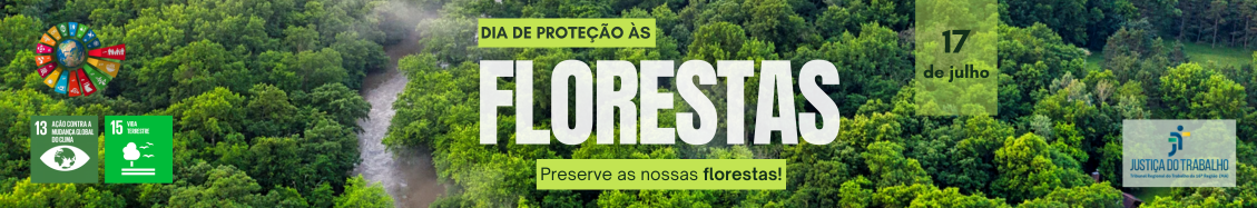 Arte com uma imagem aérea de uma Floresta. Ao centro a informação: Diade Proteção às Florestas: Preserve as nossas Florestas. Na parte de cima: a logomarca da Justiça do Trabalho.