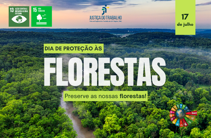 Arte com uma imagem aérea de uma Floresta. Ao centro a informação: Diade Proteção às Florestas: Preserve as nossas Florestas. Na parte de cima: a logomarca da Justiça do Trabalho