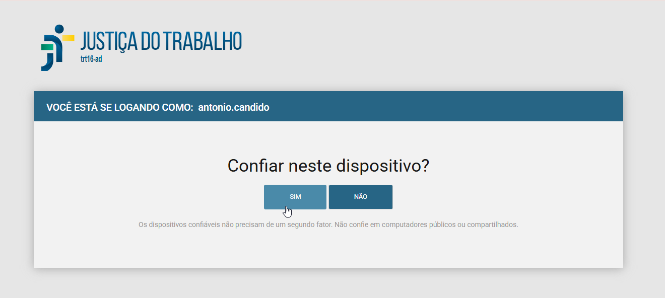 Tela para confirmar a confiança no sistema