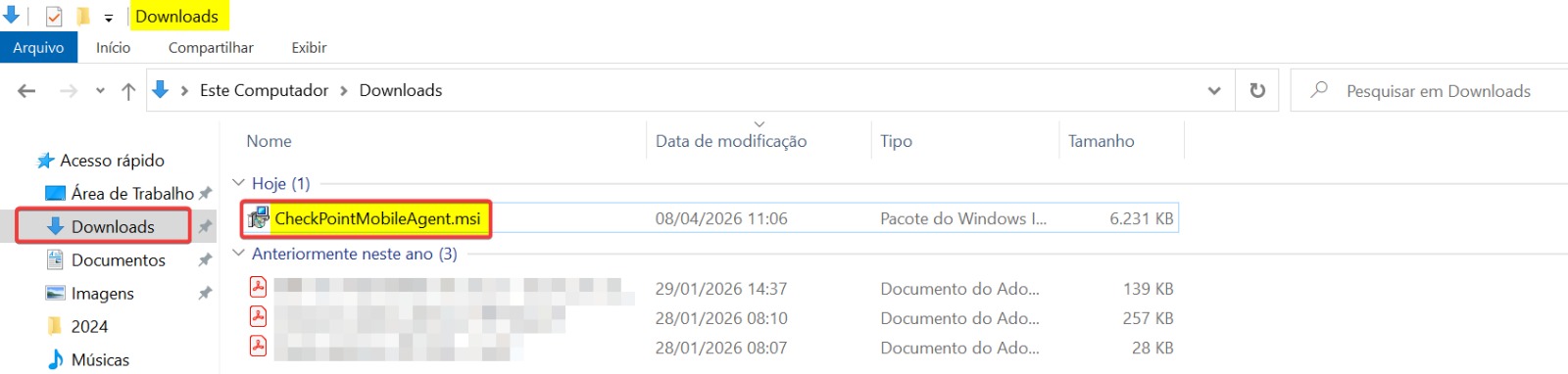 Driver feito o download e agora basta executar