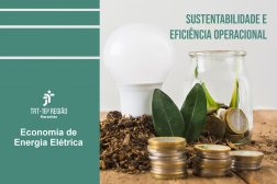 Foto de uma mesa de madeira, onde se veem uma lâmpada, um jarro de vidro, serragem, moedas e folhas. La lateral esquerda, tarja verde com a logomarca do TRT-16 e o texto ECONOMIA DE ENERGIA ELÉTRICA, ambos brancos. No canto superior direito, o texto verde SUSTENTABILIDADE E EFICIÊNCIA OPERACIONAL.