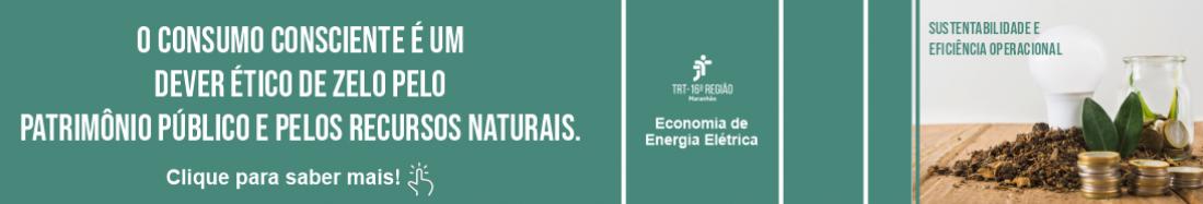 Imagem com uma foto, à direita, de uma mesa de madeira, onde se veem uma lâmpada, um jarro de vidro, serragem, moedas e folhas. Ao centro, fundo verde com a logomarca do TRT-16 e o texto ECONOMIA DE ENERGIA ELÉTRICA, ambos brancos. Outros textos brancos são vistos à esquerda.