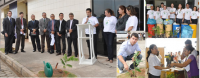  TRT do Maranhão  incentiva o plantio de árvores  