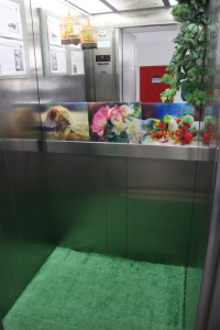 TRT-MA comemora Dia Internacional da Biodiversidade