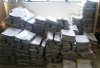 Processos que migraram para a plataforma digital