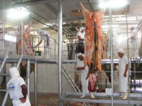Instalações do matadouro de Imperatriz foram inspecionadas
