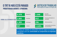 Gráfico com as estatísticas da notícia.