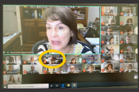 Dirigentes do TRT-MA participam da primeira reunião telepresencial do Coleprecor
