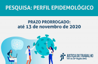 Pesquisa Perfil Epidemiológico.