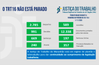 Produtividade Judicial do TRT-MA na semana de 26 de outubro a 1º de novembro de 2020.