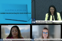 Mosaico feito com os prints das telas de participantes da audiência pública