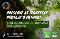 Recorte da foto de uma grande árvore vista de baixo para cima. Em primeiro plano, texto branco. Abaixo dele, tarja verde com outro texto branco. Ambos os textos se referem ao tema do dia de proteção às florestas. Na base, logomarca do TRT-16 e de dois ODSs da ONU.