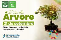 Arte com a mensagem: Dia da Árvore - 21 de setembro: mais árvores, mais vida: plante essa atitude! Na parte superior: ícones com imagens dos objetivos da agenda 2030 da ONU. Uma mão, segura uma muda de planta. Na parte inferior, as logos do TRT-16 Gestão Sustentável. 
