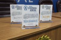 Foto mostra troféus das categorias: Diamanete, Ouro e Prato. O Troféu feito de acrílico,