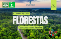 Arte com uma imagem aérea de uma Floresta. Ao centro a informação: Diade Proteção às Florestas: Preserve as nossas Florestas. Na parte de cima: a logomarca da Justiça do Trabalho