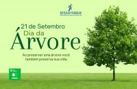 Arte em tons de verde, contendo, à esquerda, texto verde escuro sobre fundo verde claro a respeito do Dia da Árvore. À direita, árvore frondosa. No topo, logomarca da Justiça do Trabalho.