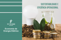 Foto de uma mesa de madeira, onde se veem uma lâmpada, um jarro de vidro, serragem, moedas e folhas. La lateral esquerda, tarja verde com a logomarca do TRT-16 e o texto ECONOMIA DE ENERGIA ELÉTRICA, ambos brancos. No canto superior direito, o texto verde SUSTENTABILIDADE E EFICIÊNCIA OPERACIONAL.