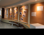 Trabalhadores do TRT-MA são surpreendidos com exposição fotográfica
