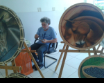 Milton Lozano volta ao Espaço de Artes para expor suas mandalas