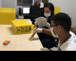 A empresa SISTEMATECH está responsável por executar os serviços de recuperação do acervo.