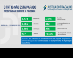 Gráfico com as estatísticas da notícia.