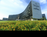 Foto do prédio-sede do Tribunal Superior do Trabalho e do Conselho Superior da Justiça do Trabalho, no primeiro plano o gramado e flores amarelas, e ao fundo o céu azul