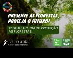 Recorte da foto de uma grande árvore vista de baixo para cima. Em primeiro plano, texto branco. Abaixo dele, tarja verde com outro texto branco. Ambos os textos se referem ao tema do dia de proteção às florestas. Na base, logomarca do TRT-16 e de dois ODSs da ONU.