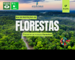 Arte com uma imagem aérea de uma Floresta. Ao centro a informação: Diade Proteção às Florestas: Preserve as nossas Florestas. Na parte de cima: a logomarca da Justiça do Trabalho