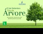Arte em tons de verde, contendo, à esquerda, texto verde escuro sobre fundo verde claro a respeito do Dia da Árvore. À direita, árvore frondosa. No topo, logomarca da Justiça do Trabalho.
