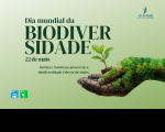 Arte feita em fundo verde. Ao centro o destaque: Dia Mundial da Biodiversidade 22 de maio. No canto superior direito a logomarca do TRT-16